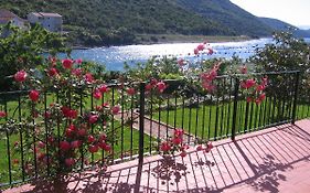 Apartmani Tia